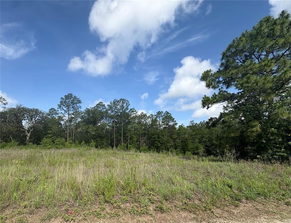 待售: $19,500 (0.23 acres)