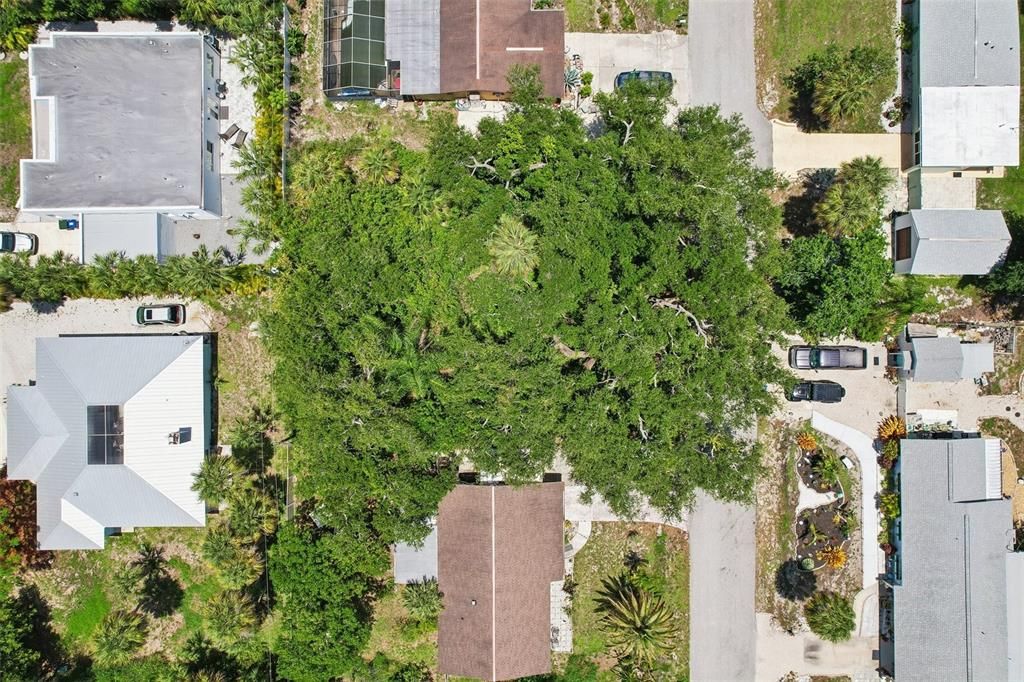 合同活跃: $50,000 (0.18 acres)