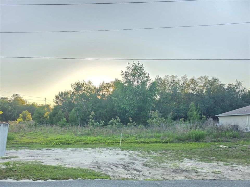 For Sale: $48,000 (0.33 acres)