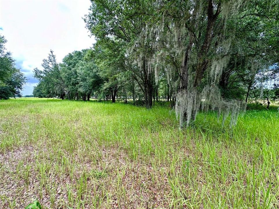 На продажу: $450,000 (5.70 acres)
