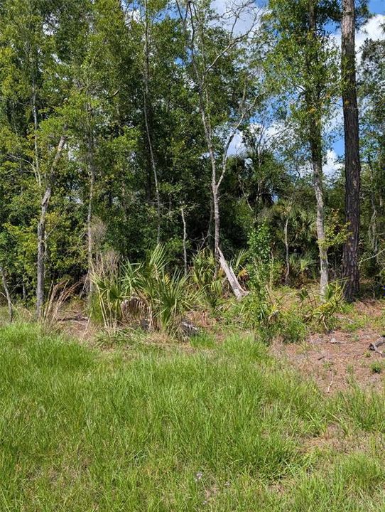 На продажу: $316,000 (5.02 acres)