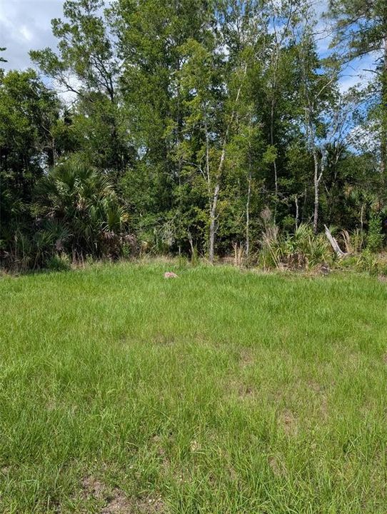 На продажу: $316,000 (5.02 acres)