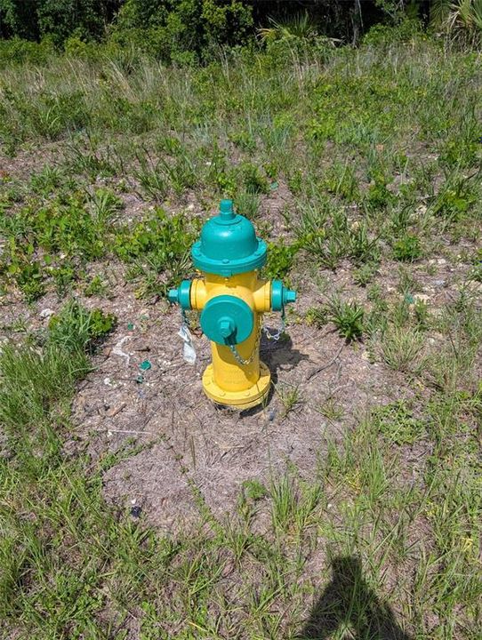 На продажу: $316,000 (5.02 acres)