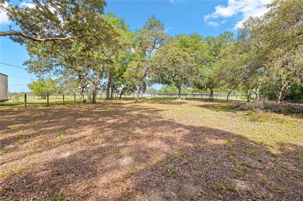 Active With Contract: $237,000 (2 beds, 2 baths, 924 Square Feet)