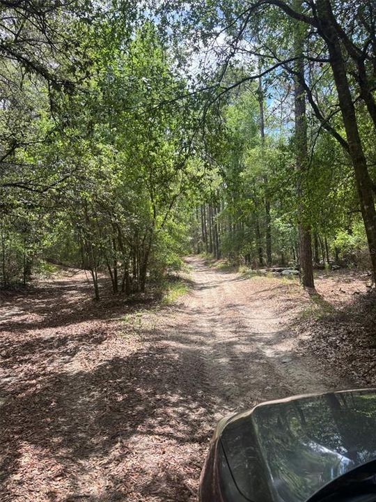 For Sale: $28,000 (1.25 acres)