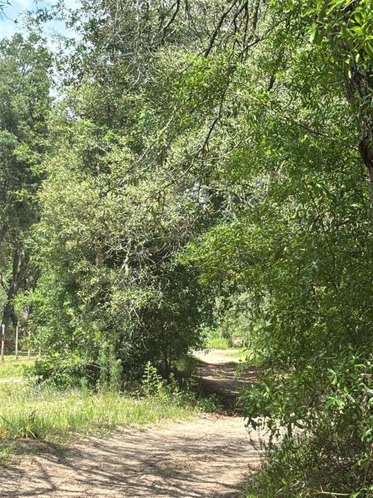 For Sale: $28,000 (1.25 acres)