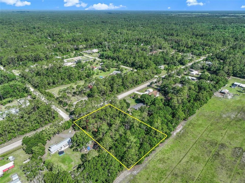 En Venta: $40,995 (1.14 acres)