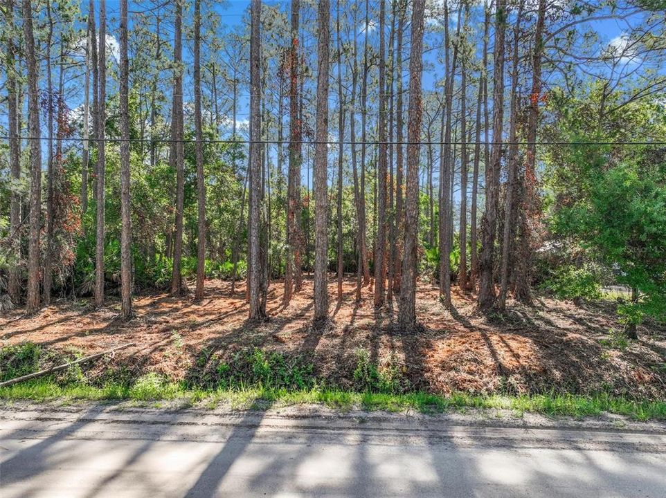 En Venta: $40,995 (1.14 acres)