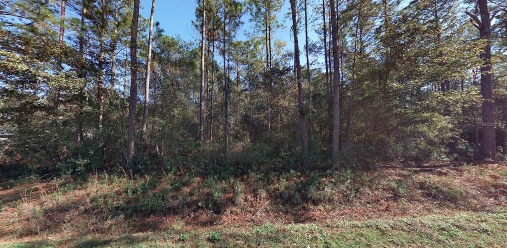 For Sale: $60,000 (1.14 acres)