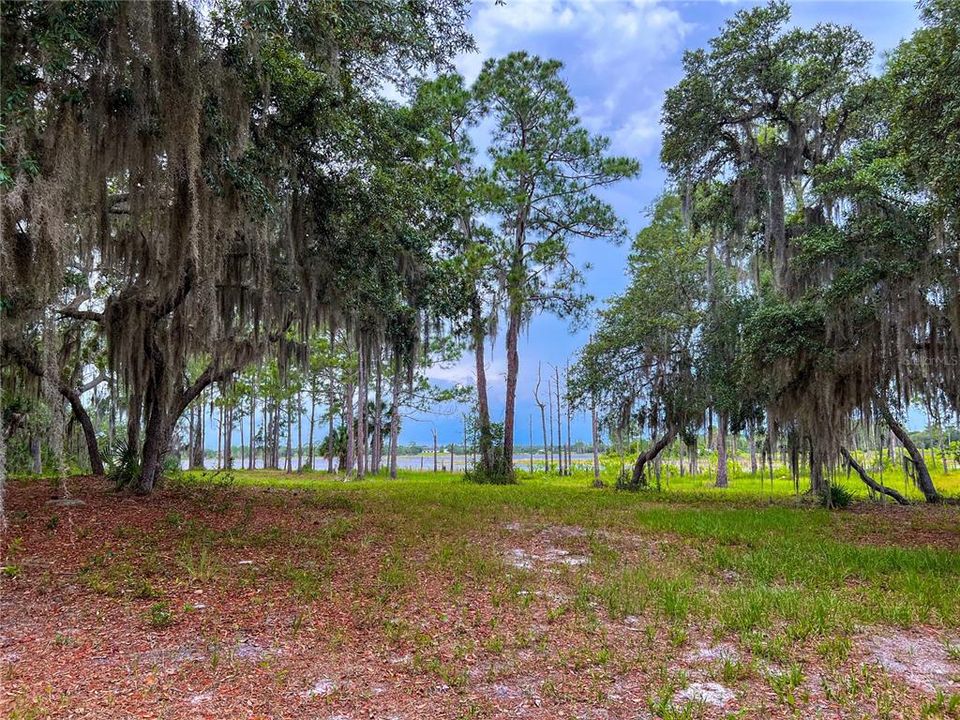 For Sale: $114,900 (1.97 acres)