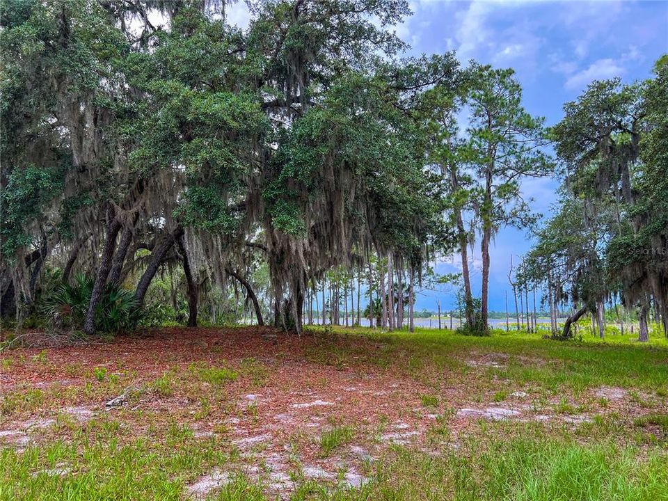For Sale: $114,900 (1.97 acres)