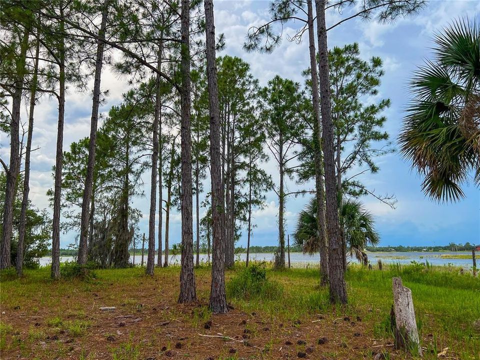 For Sale: $114,900 (1.97 acres)