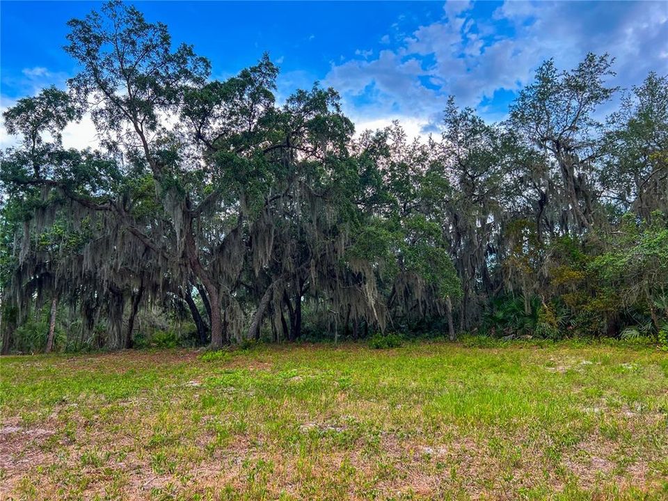 For Sale: $114,900 (1.97 acres)