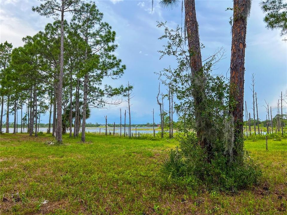 For Sale: $114,900 (1.97 acres)