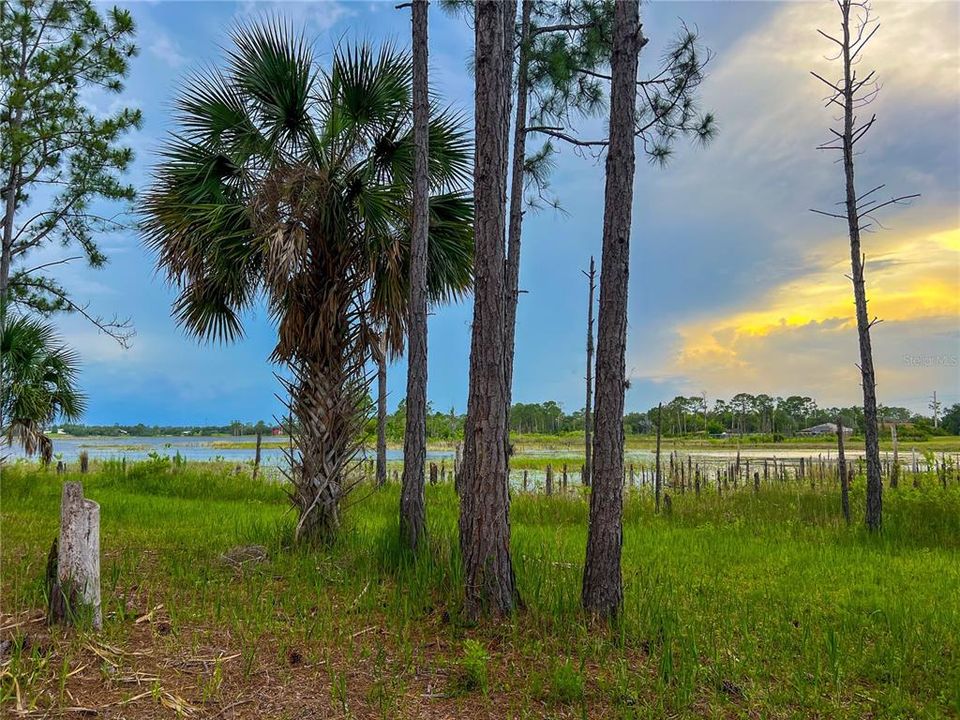 For Sale: $114,900 (1.97 acres)