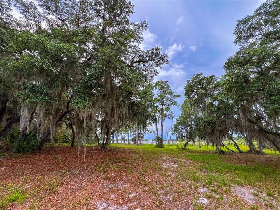 For Sale: $114,900 (1.97 acres)