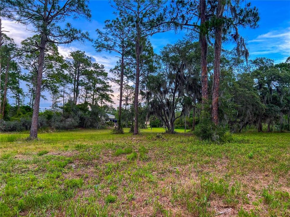 For Sale: $114,900 (1.97 acres)