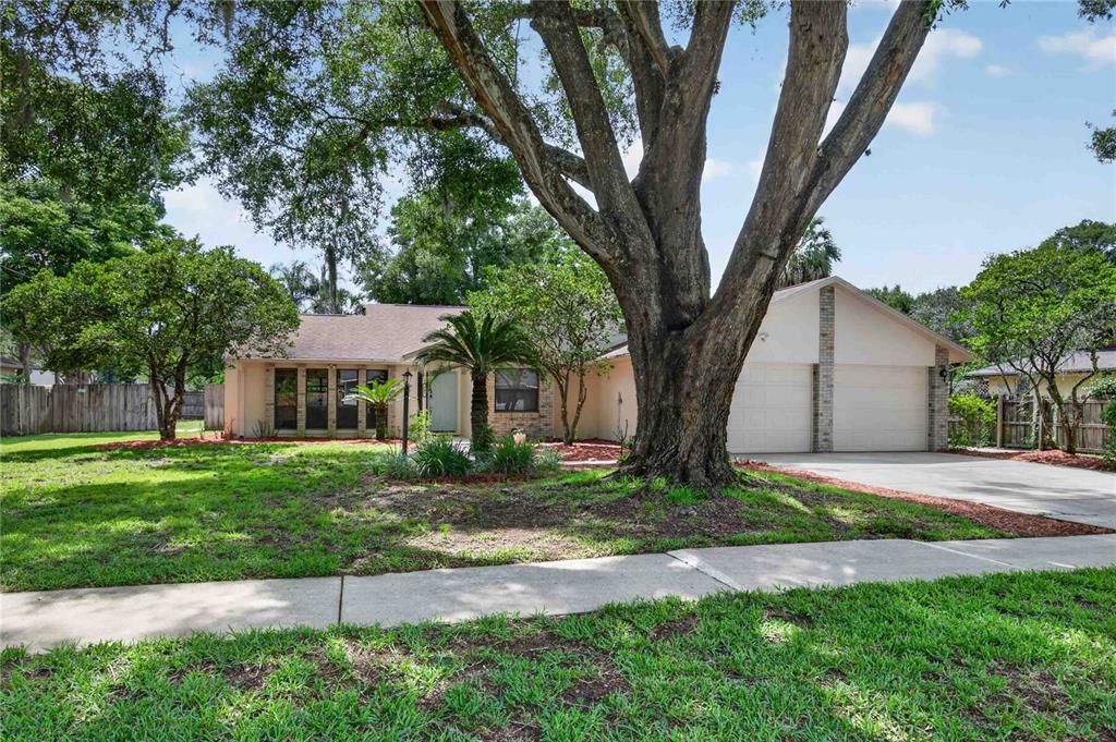 Active With Contract: $445,000 (3 beds, 2 baths, 1645 Square Feet)