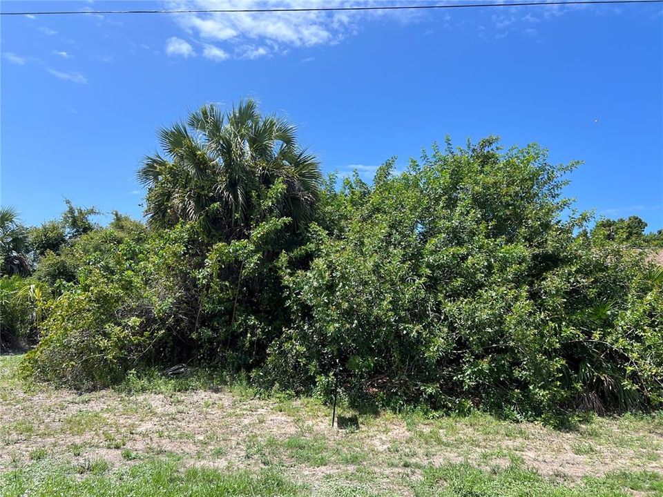 For Sale: $18,000 (0.23 acres)