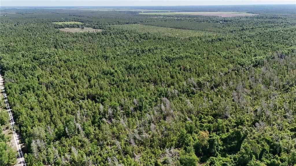 На продажу: $239,900 (41.18 acres)