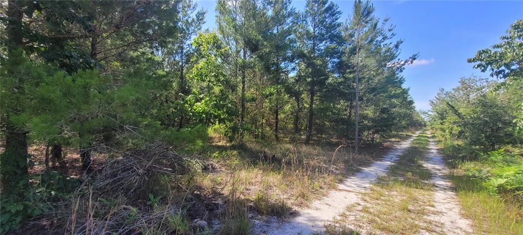 На продажу: $239,900 (41.18 acres)