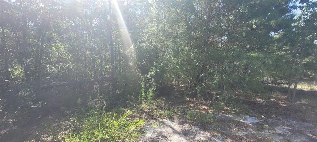 На продажу: $239,900 (41.18 acres)