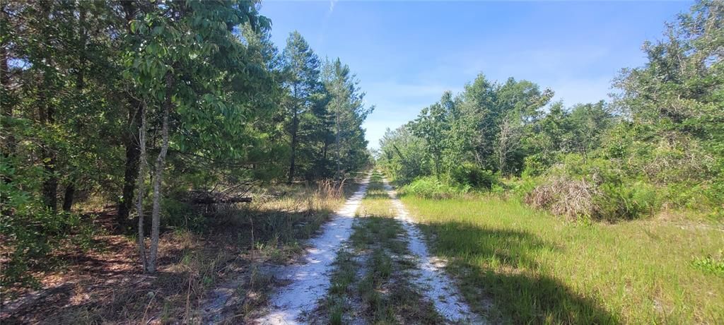 На продажу: $239,900 (41.18 acres)