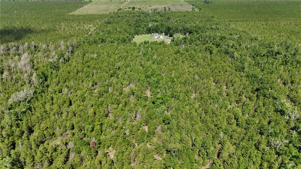 На продажу: $239,900 (41.18 acres)
