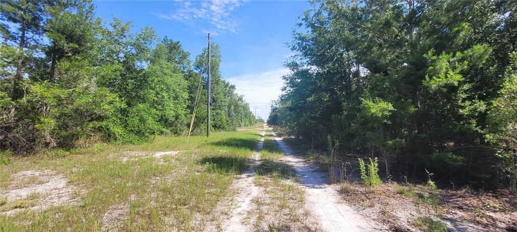 На продажу: $239,900 (41.18 acres)