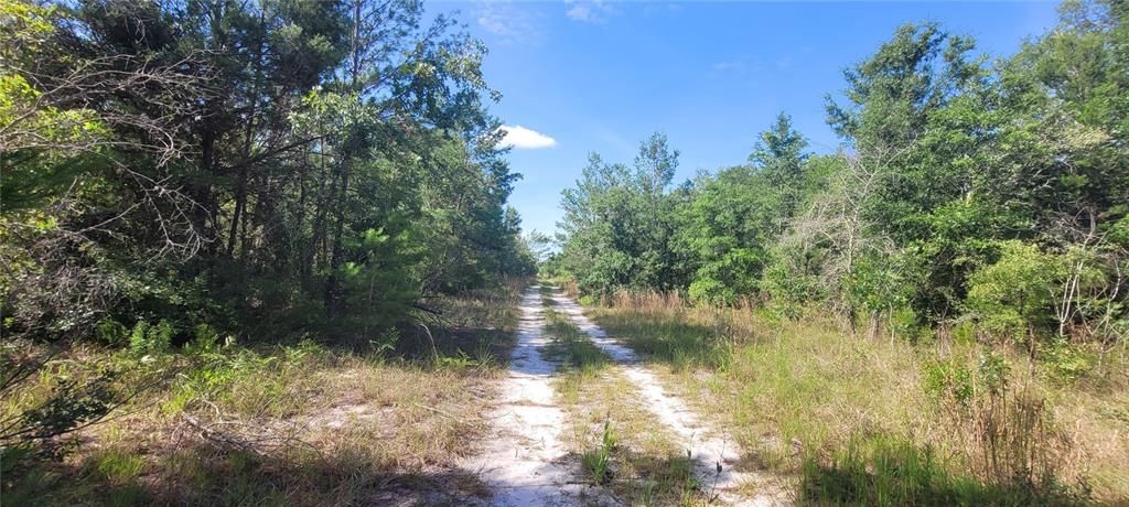 На продажу: $239,900 (41.18 acres)