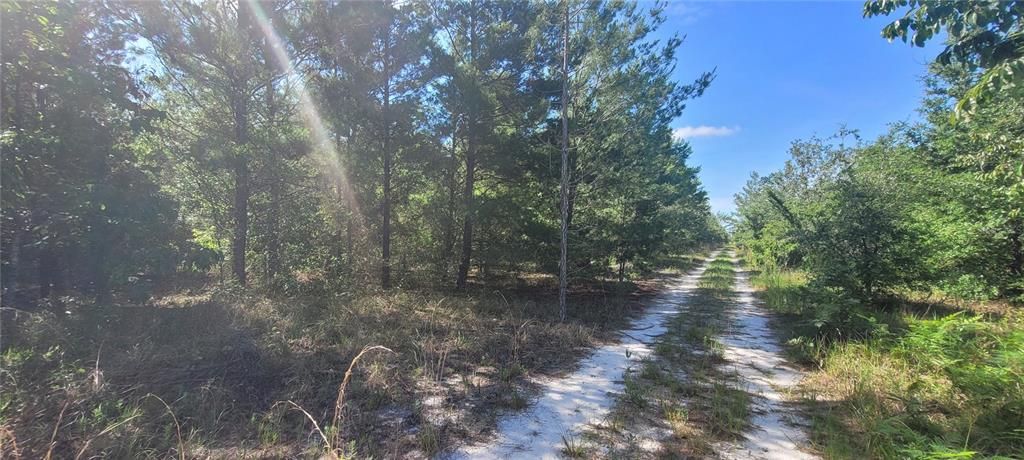 На продажу: $239,900 (41.18 acres)
