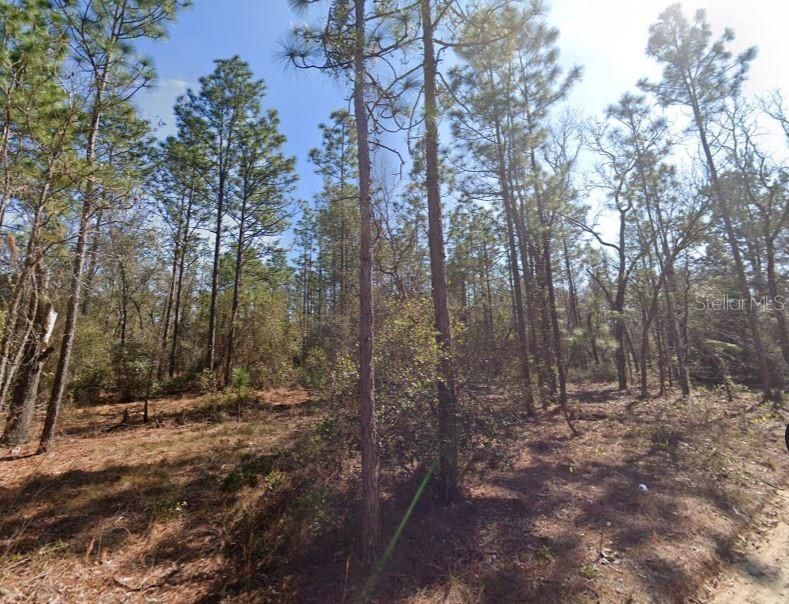 For Sale: $28,490 (2.00 acres)