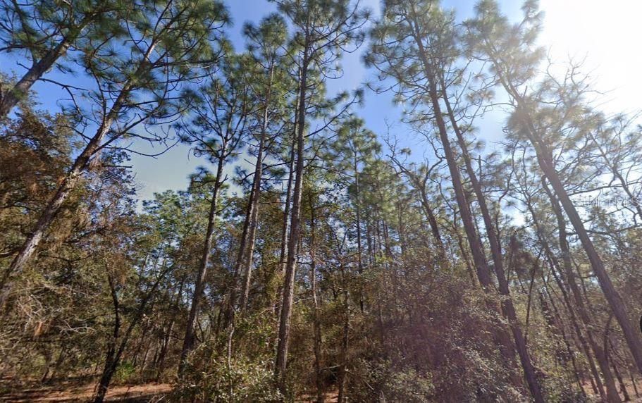 For Sale: $28,490 (2.00 acres)
