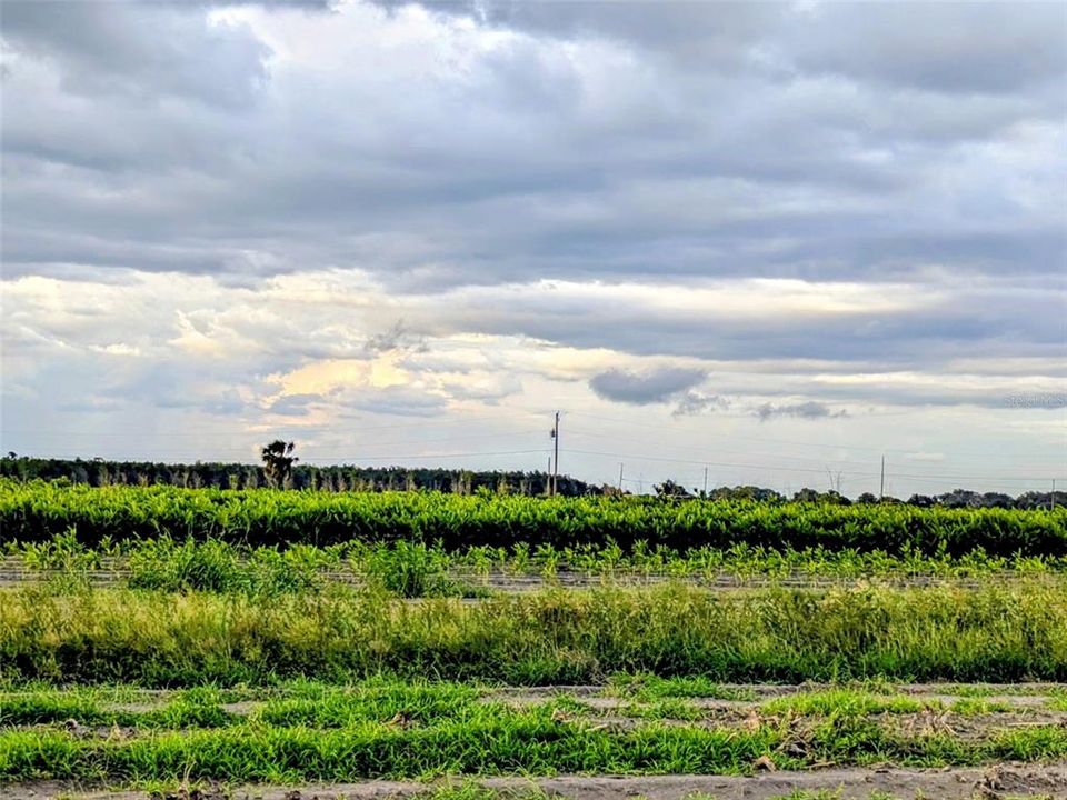 待售: $249,900 (10.00 acres)