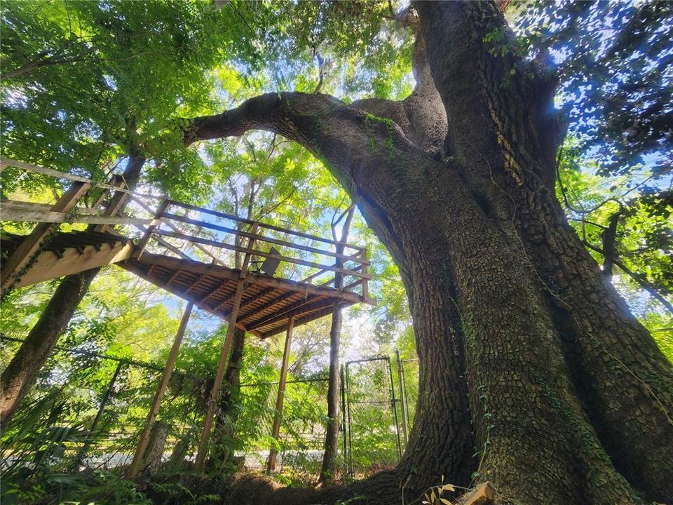 En Venta: $450,000 (4 camas, 3 baños, 2824 Pies cuadrados)