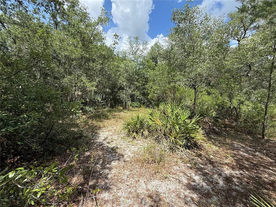 Active With Contract: $100,000 (1.36 acres)