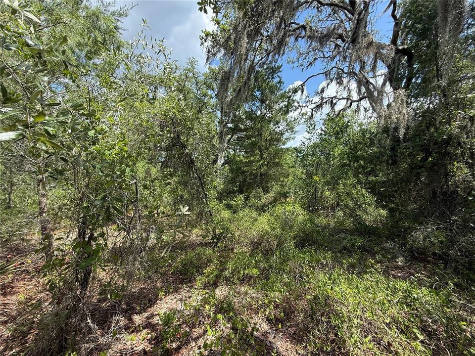 Active With Contract: $100,000 (1.36 acres)