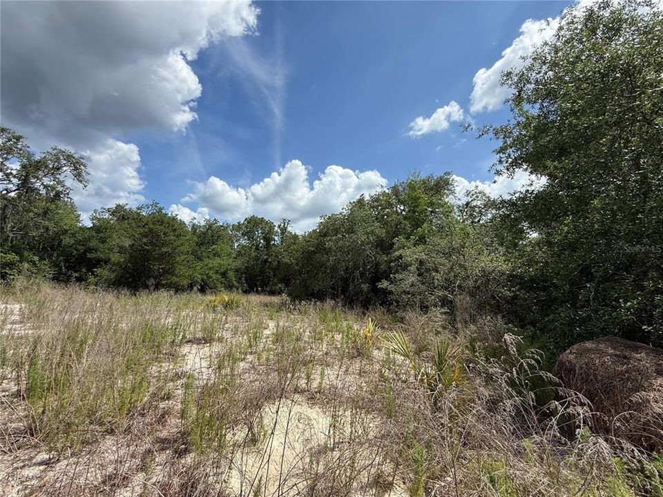 Active With Contract: $100,000 (1.36 acres)