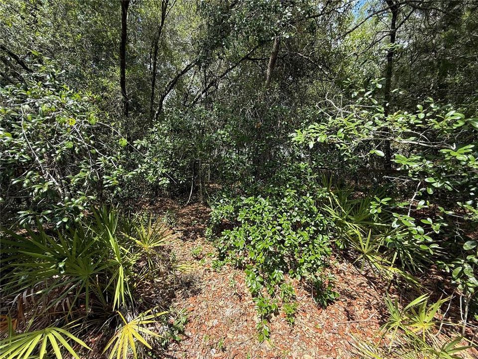 Active With Contract: $100,000 (1.36 acres)