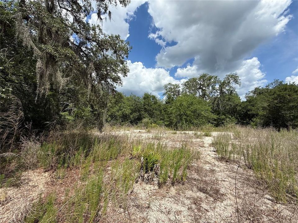 Active With Contract: $100,000 (1.36 acres)