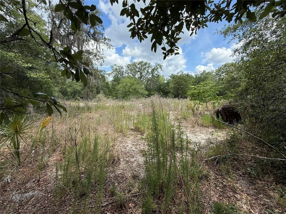Active With Contract: $100,000 (1.36 acres)