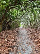待售: $995,000 (0.31 acres)