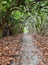 待售: $995,000 (0.31 acres)
