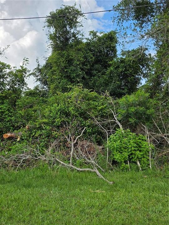 For Sale: $65,000 (0.25 acres)