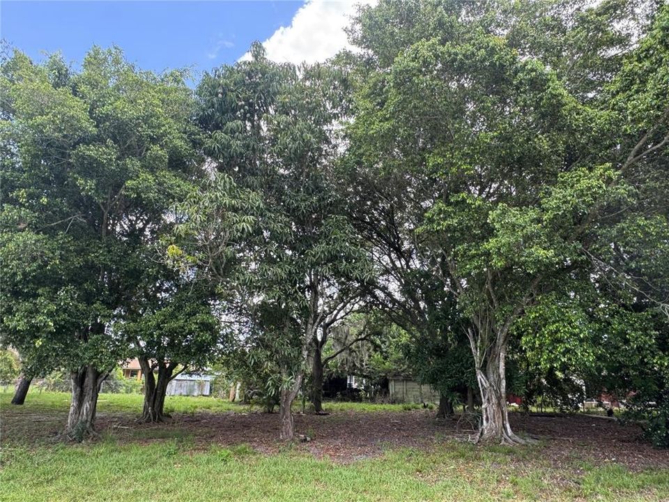 En Venta: $139,999 (0.26 acres)