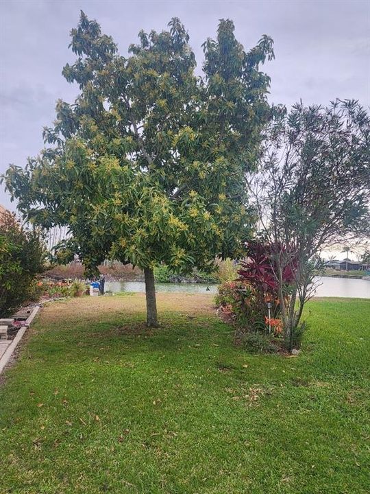 For Sale: $418,800 (3 beds, 2 baths, 2354 Square Feet)