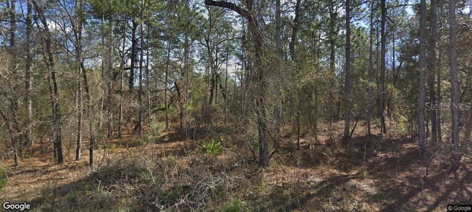 待售: $54,900 (0.46 acres)