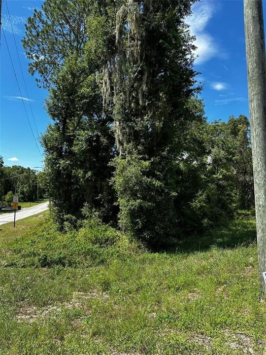 For Sale: $55,000 (1.14 acres)