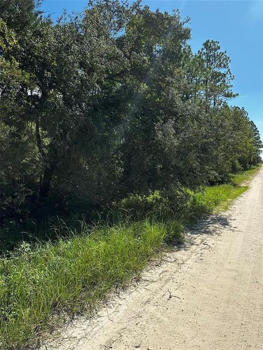 На продажу: $30,000 (1.25 acres)
