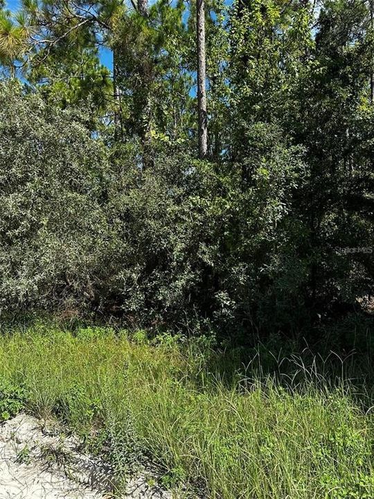 На продажу: $30,000 (1.25 acres)